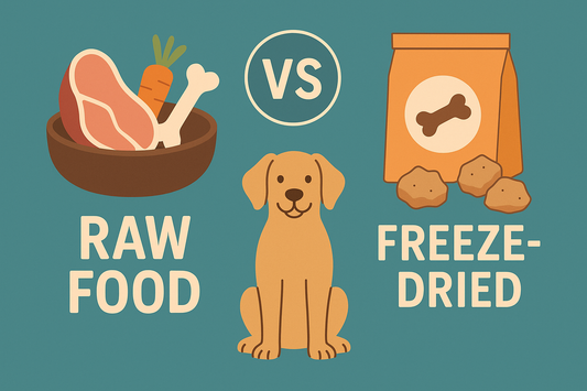 raw food for dogs, freeze-dried dog treats, dog nutrition