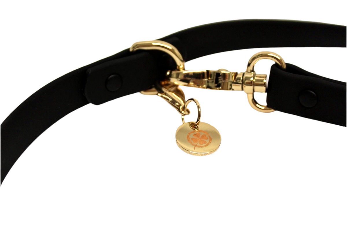 Waterproof Hands-Free Leash, Black