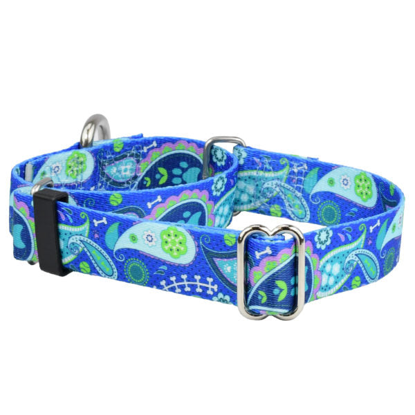 Paw Paisley EarthStyle Martingale Dog Collar