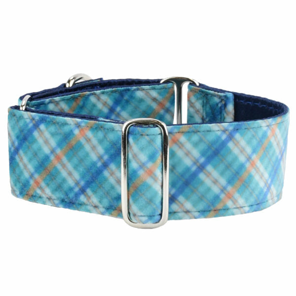 Blue Plaid Elite Velvet Buckle Martingale Dog Collar by 2 Hounds Design, sold through Sniff and Shift