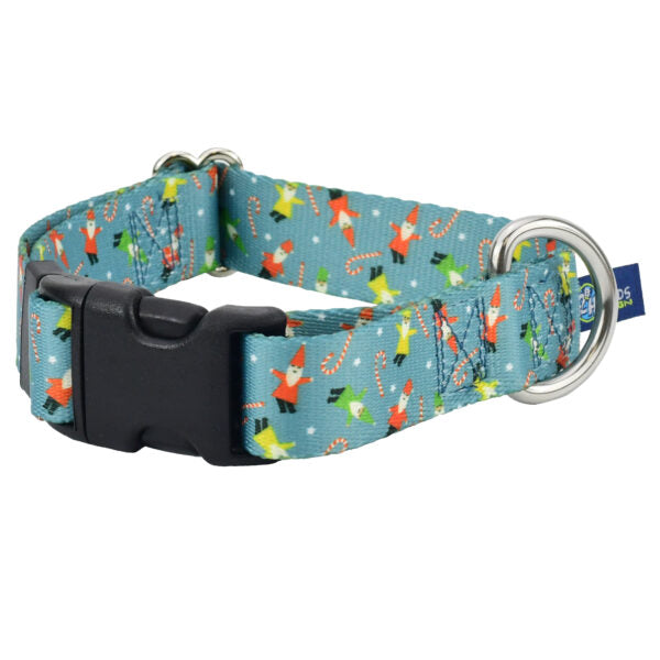 Jolly Gnomes EarthStyle Dog Collar