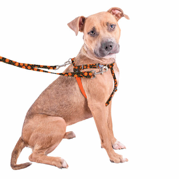 Jack O Lantern EarthStyle Freedom No-Pull Dog Harness