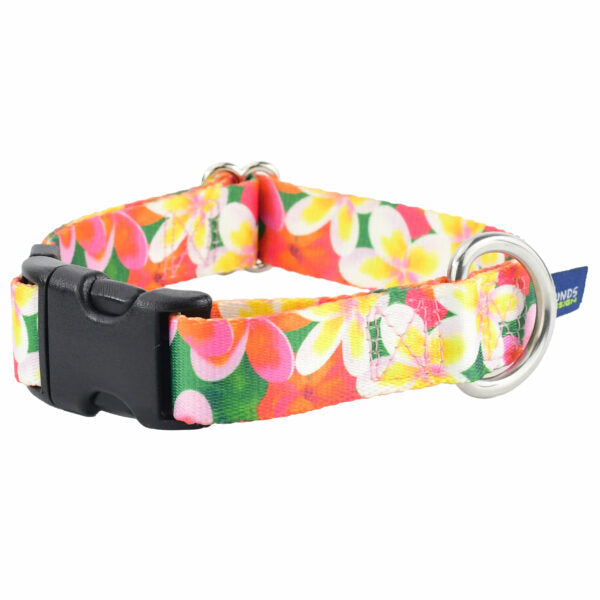 Aloha EarthStyle Dog Collar