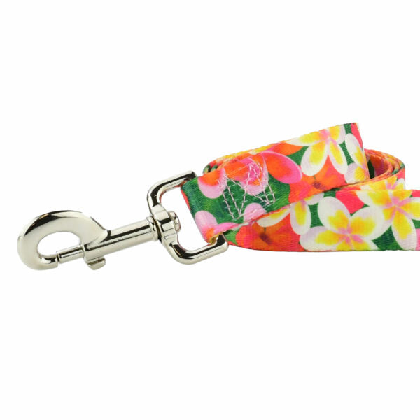 Aloha EarthStyle Dog Leash by 2 Hounds Design, sold through Sniff and Shift
