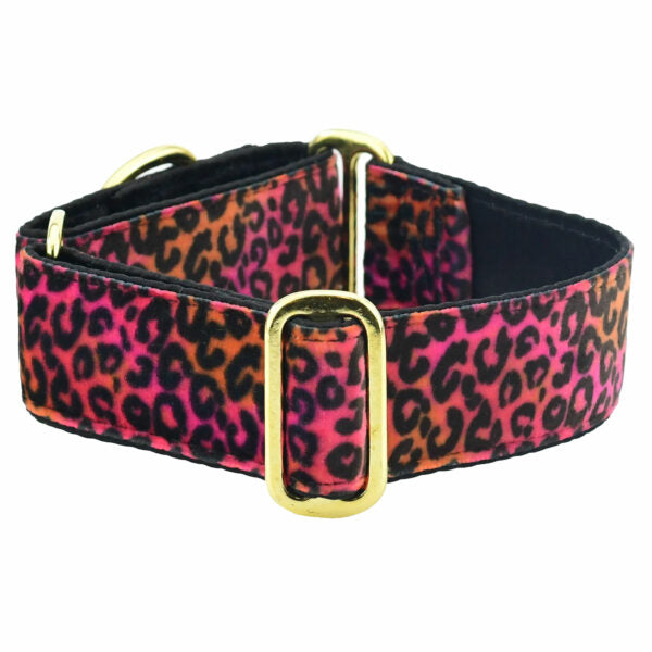 Wild Kitty Pink Elite Velvet Dog Collar by 2 Hounds Design, sold through Sniff and Shift