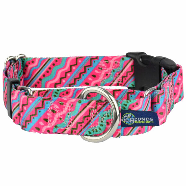 1980’s EarthStyle Buckle Martingale Dog Collar by 2 Hounds Design, sold through Sniff and Shift