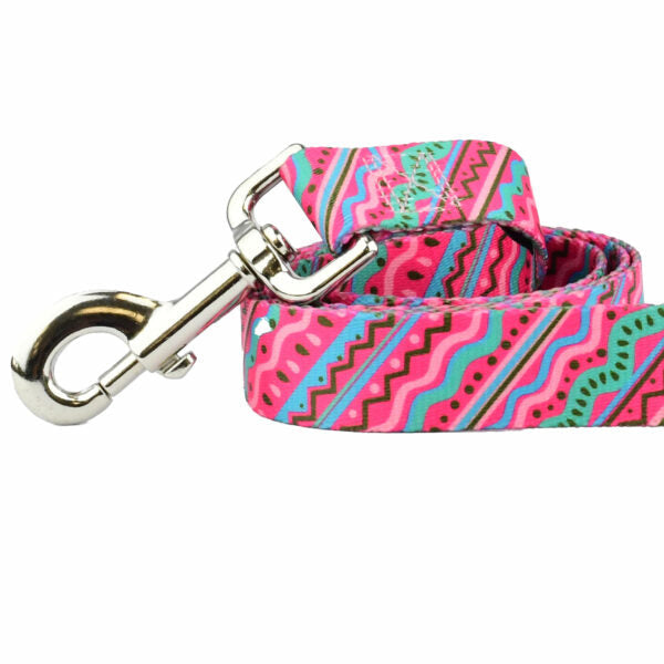1980s EarthStyle Dog Leash by 2 Hounds Design, sold through Sniff and Shift