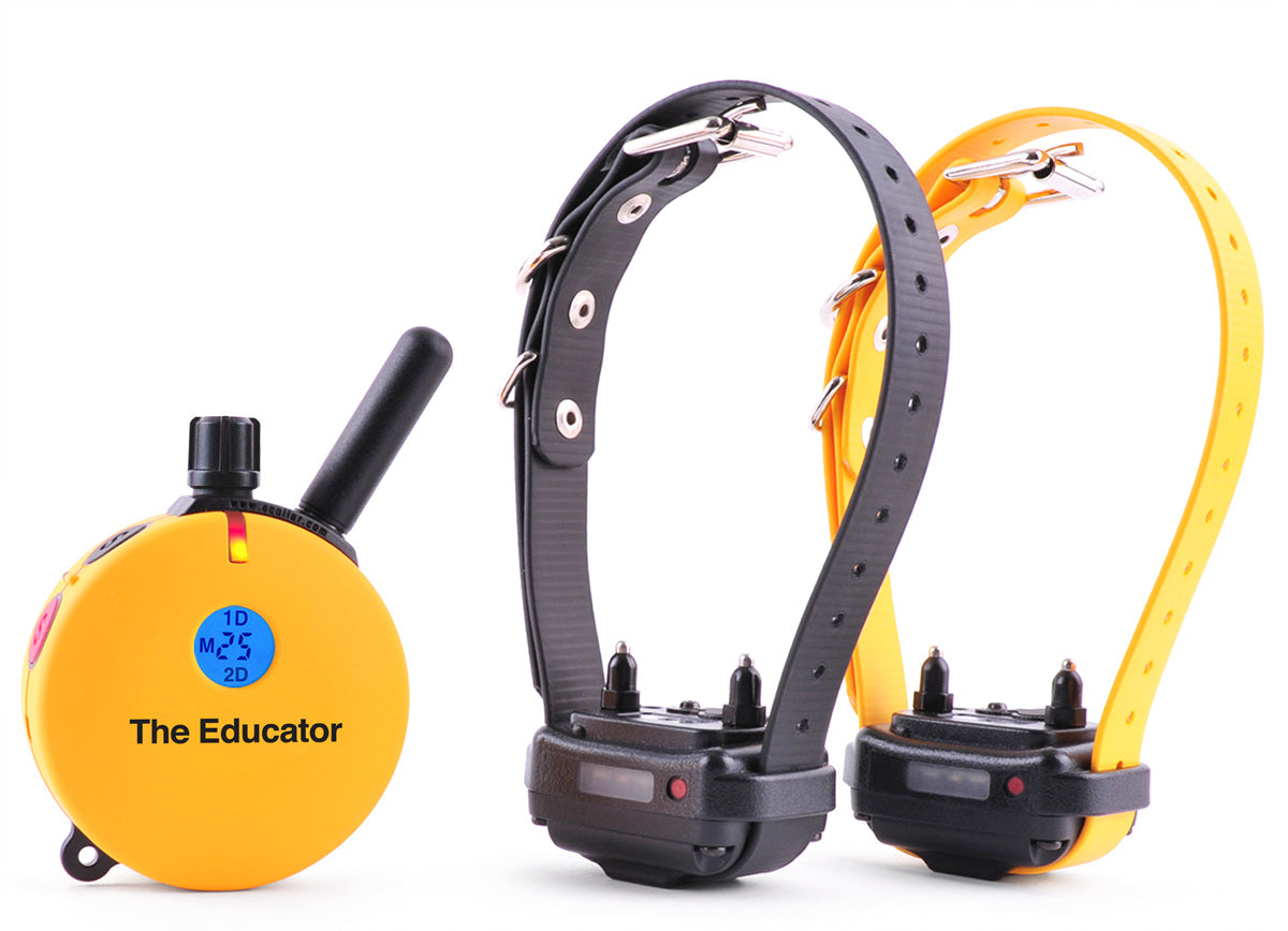 Educator ET-402 two-dog e-collar system with receivers