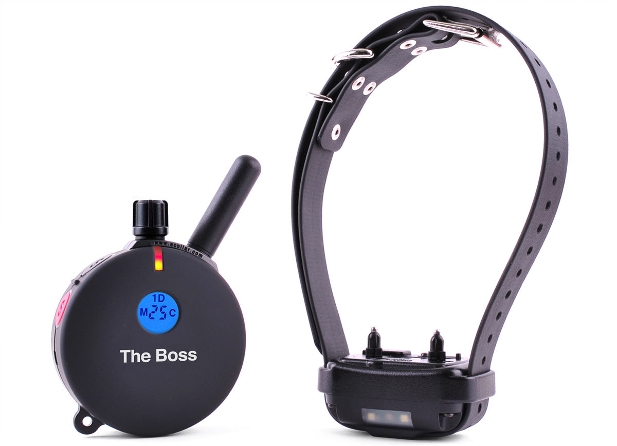 ET-800 The Boss remote trainer with belt clip