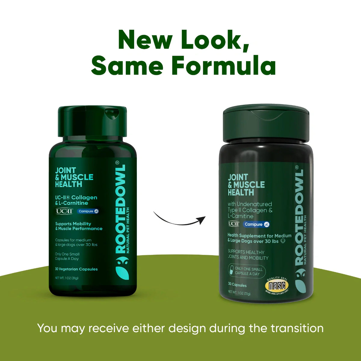Joint & Muscle Health for Medium & Large Dogs