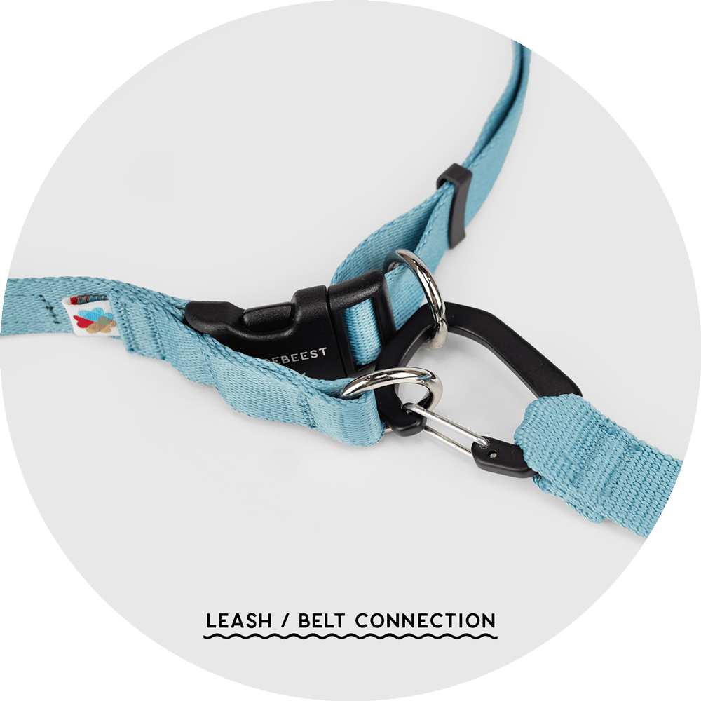Ashbury Hands-Free Dog Leash