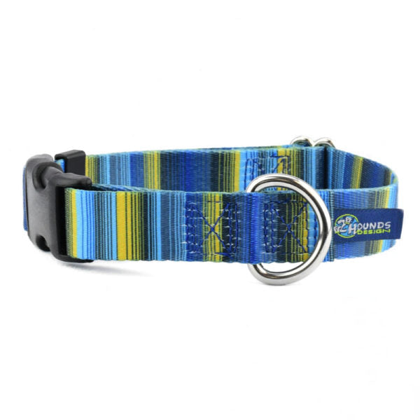 Clyde EarthStyle Buckle Martingale Dog Collar by 2 Hounds Design, sold through Sniff and Shift