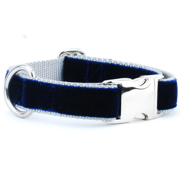 Navy/Silver Holiday Velvet Essential Buckle Martingale Dog Collar by 2 Hounds Design, sold through Sniff and Shift