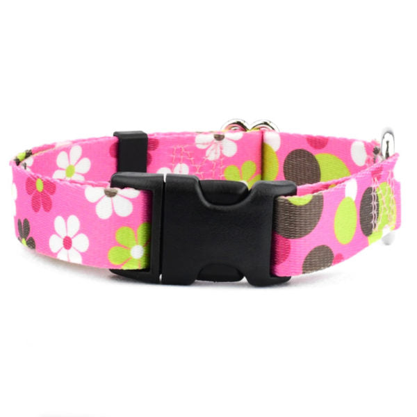 Daisy Dot EarthStyle Dog Collar by 2 Hounds Design, sold through Sniff and Shift