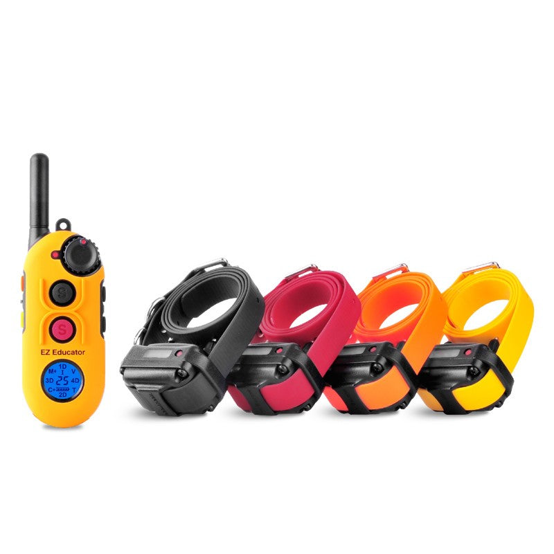Easy Educator EZ-904 four-dog remote training system