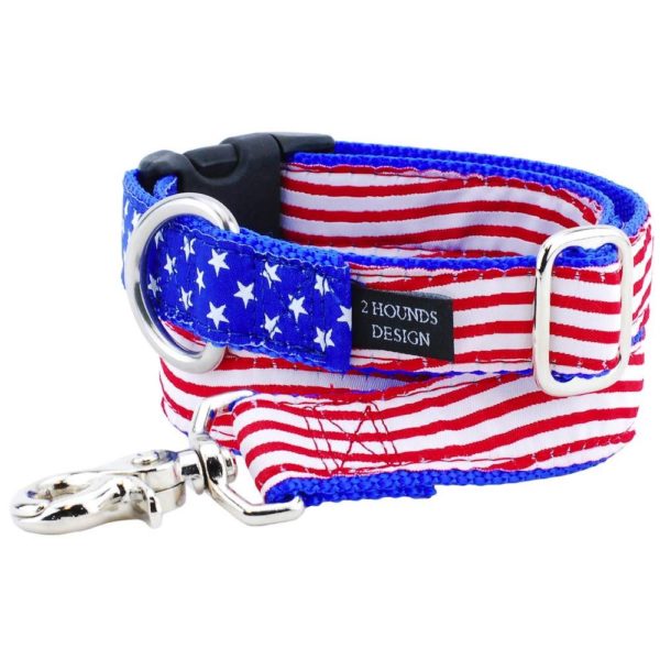 Stars and Stripes Ribbon Dog Leash 1″