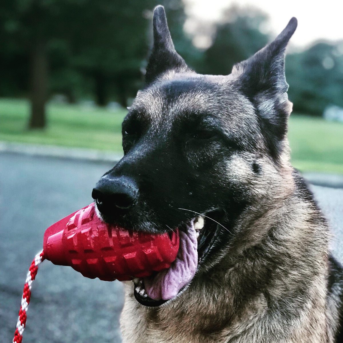 USA-K9 Grenade Rubber Toy Steel Blue