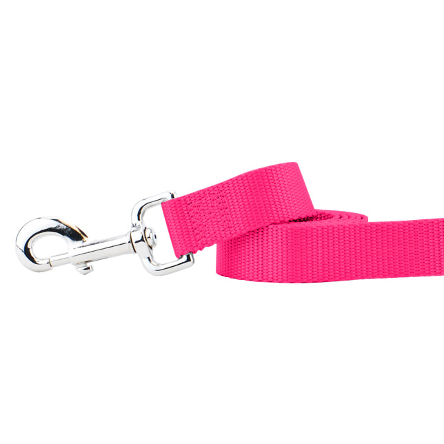 Hot Pink Nylon Dog Leash by 2 Hounds Design, sold through Sniff and Shift