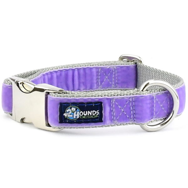 Lavender Velvet Essential Dog Collar by 2 Hounds Design, sold through Sniff and Shift