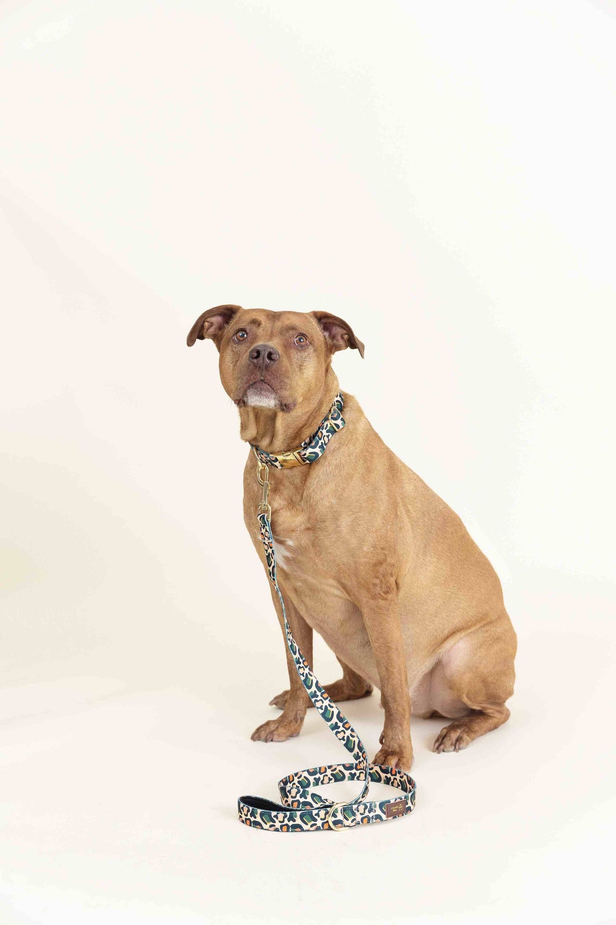 Beckett Dog Leash