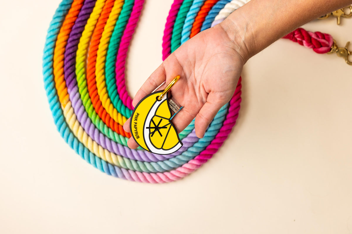 Lemon Slice Potty Pick Up