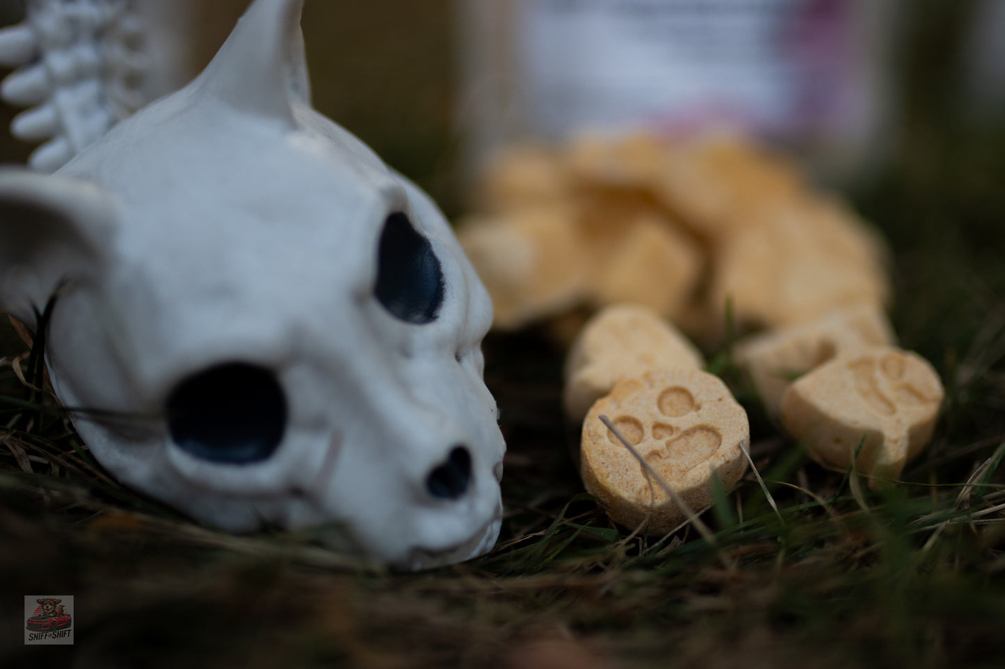 Pup-Ornaut Ice Cream β Pumpkin & Apple (Ghost & Pumpkin Shapes) | Limited Edition