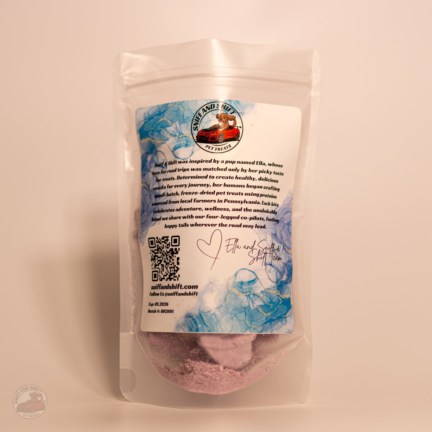 Blueberry Pup-Ornaut Ice Cream