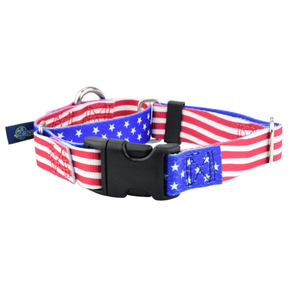Star Spangled EarthStyle Buckle Martingale Dog Collar by 2 Hounds Design, sold through Sniff and Shift