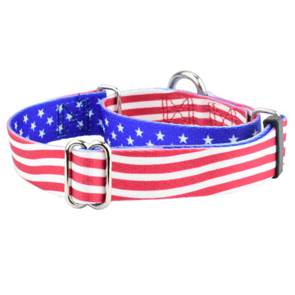 Star Spangled EarthStyle Martingale Dog Collar by 2 Hounds Design, sold through Sniff and Shift