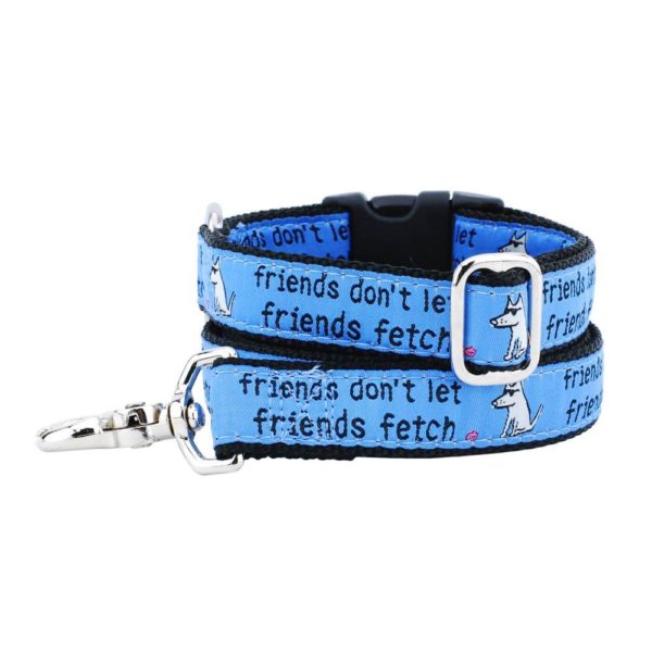 Friends Don’t Let Friends Fetch Teddy The Dog Ribbon Dog Leash 1″
