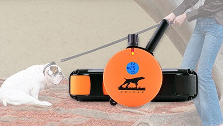 Upland two-dog e-collar system for hunting dogs