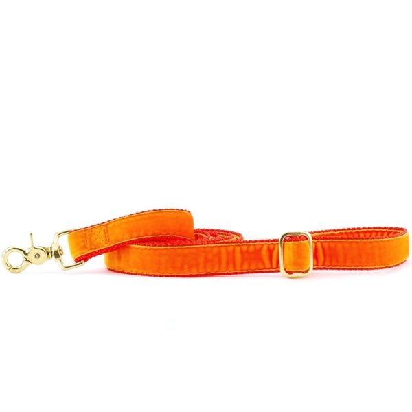 Orange Velvet Dog Leash