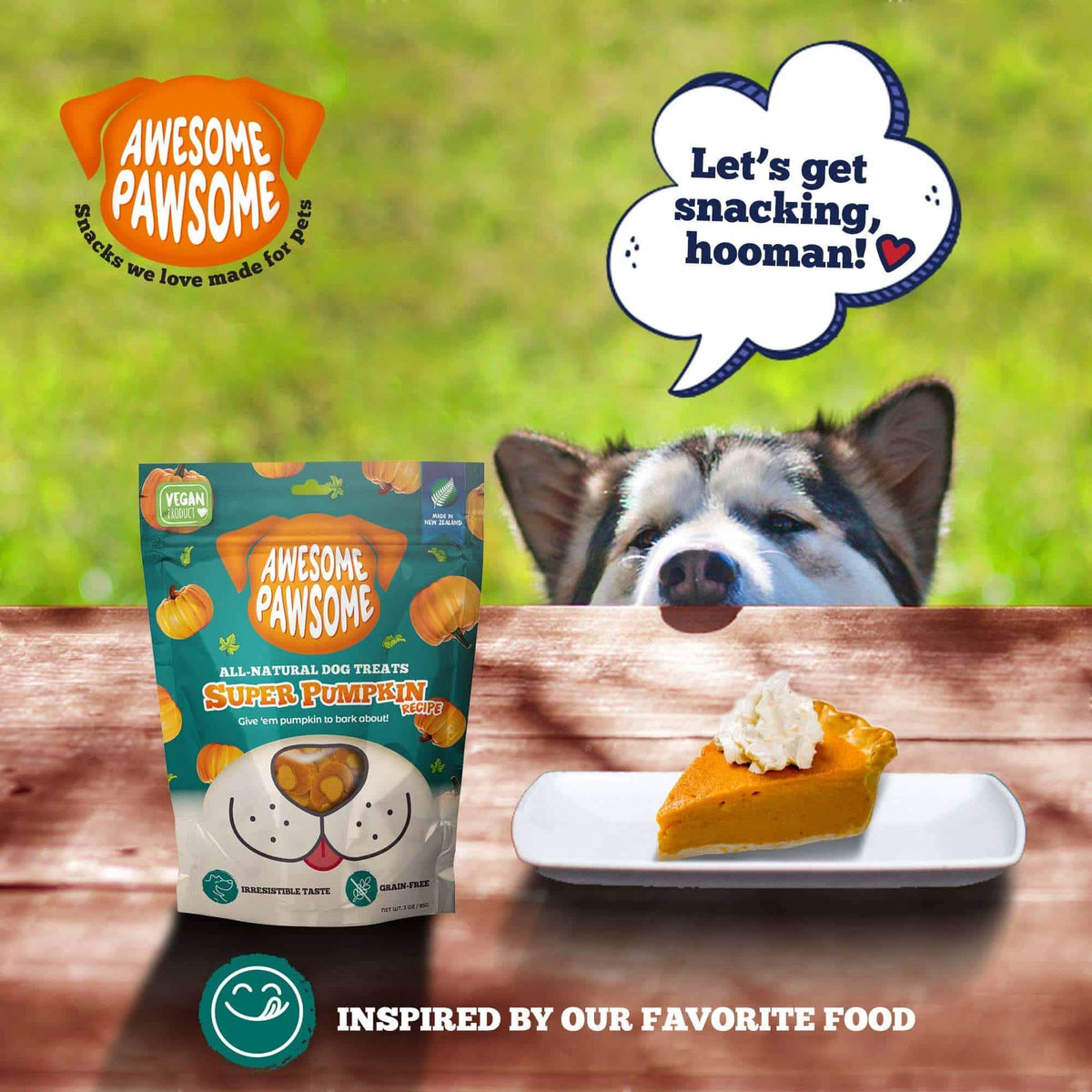 Zen Vegetarian Dog Food & Vegan Treats Bundle