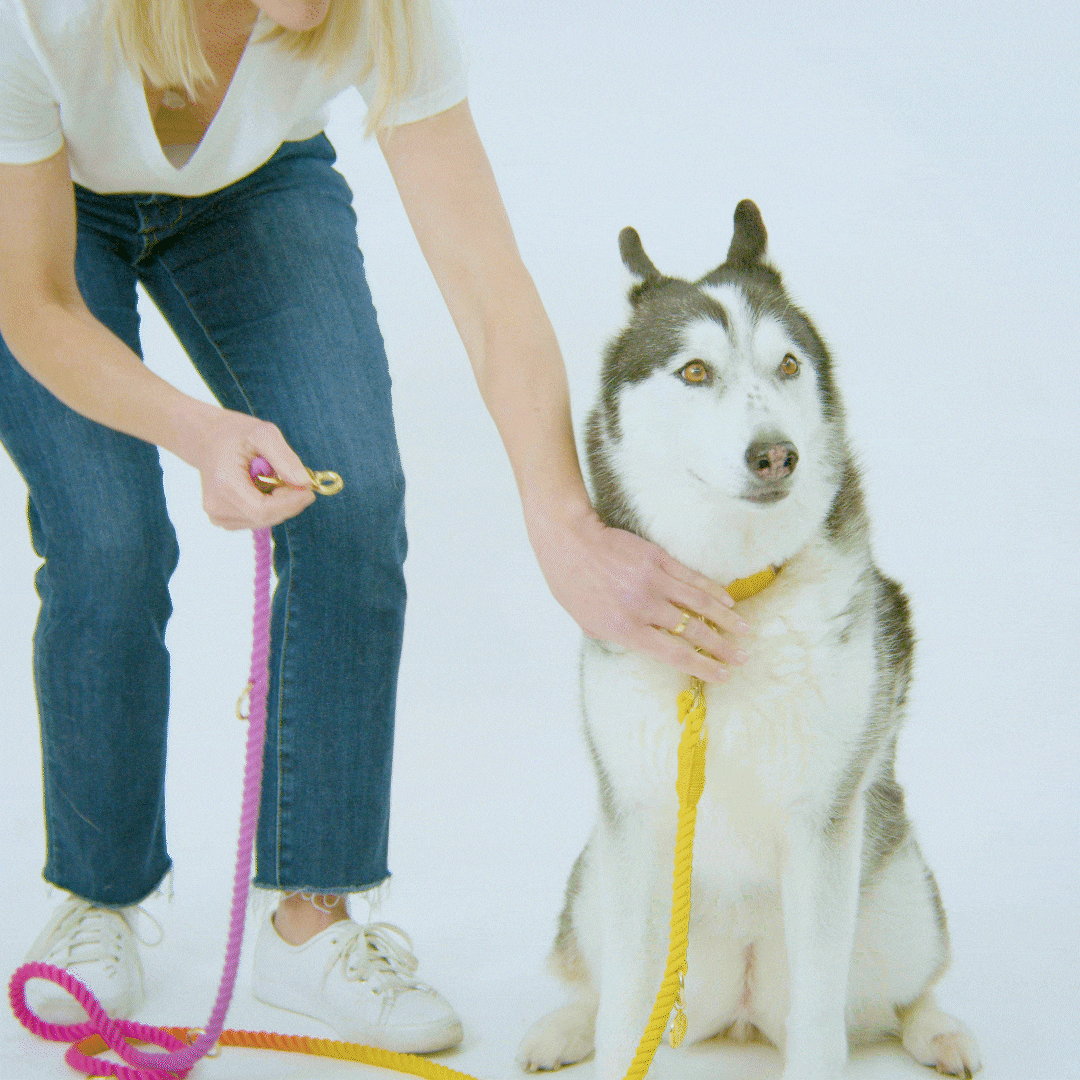 Pixie Hands-Free Rope Dog Leash