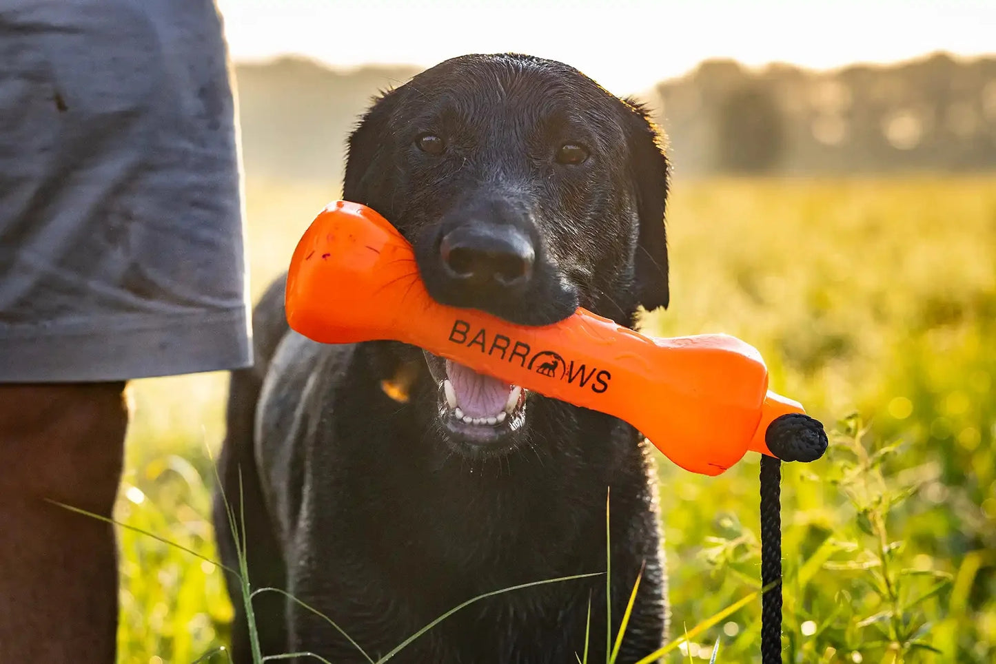 Barrows Training Bumper - Orange