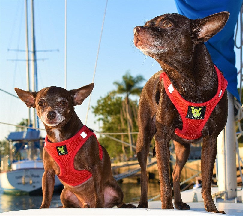 Red Step-In Dog Harness, Reflective Mesh, Teacup to XL