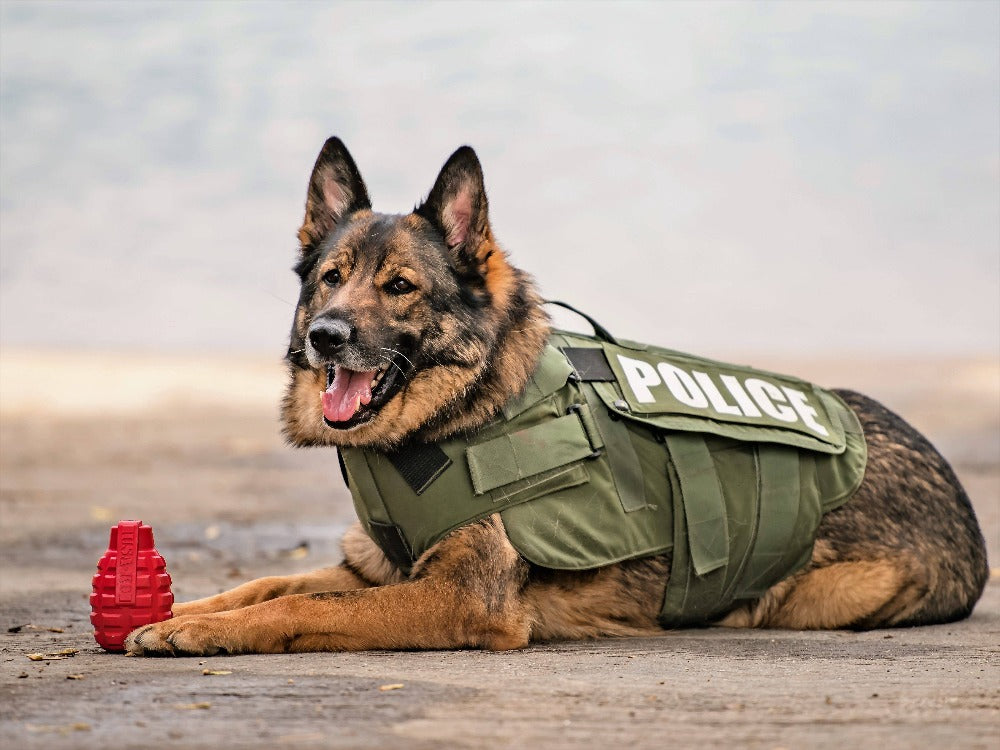 USA-K9 Grenade eDispenser Magnum Black