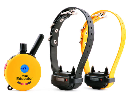 Mini Educator ET-302 transmitter with two collar receivers on biothane straps