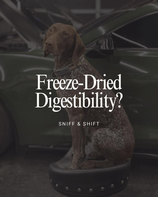 Did you know, Sniff and Shift on Instagram