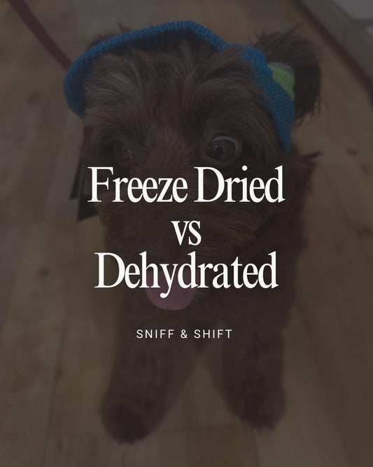 Freeze-Dried vs, Sniff and Shift on Instagram