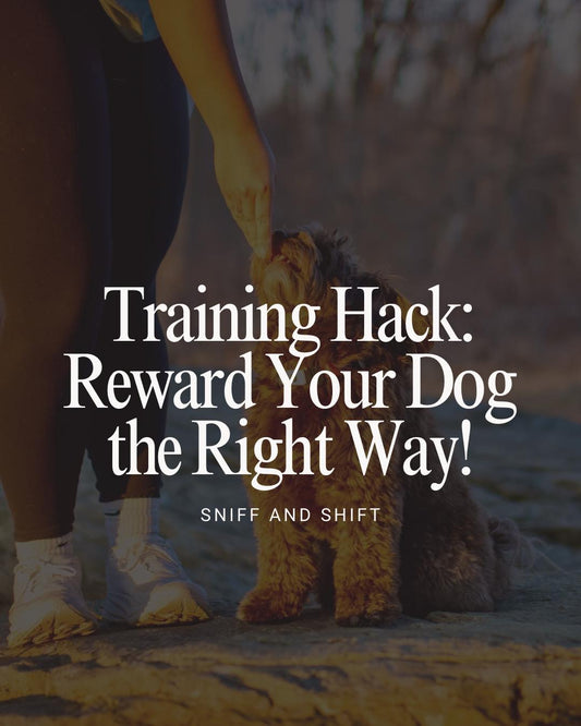 Did you know how you reward your pup can make or break their training, Sniff and Shift on Instagram
