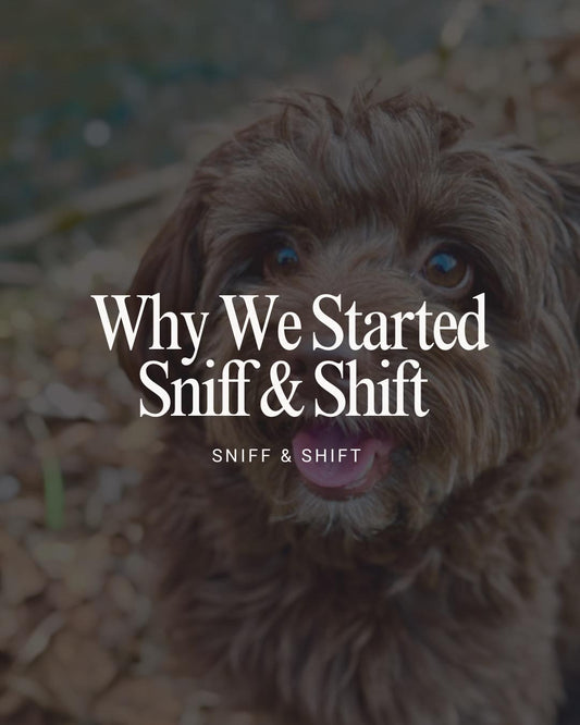 Pit Crew Post, March 17, 2025, Sniff and Shift on Instagram