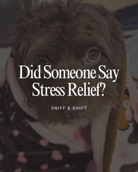 Who’s your stress reliever, Sniff and Shift on Instagram