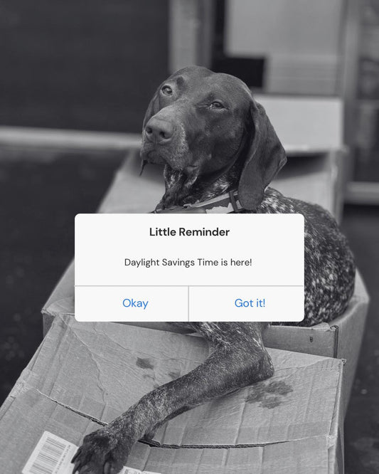 Rise & Shine… or Snooze, Sniff and Shift on Instagram
