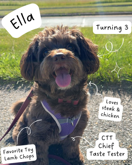 Meet Ella, our CTT (Chief Taste Tester), Sniff and Shift on Instagram