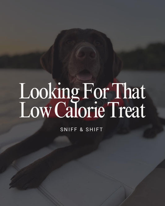 Looking for that low-calorie treat for your pup, Sniff and Shift on Instagram