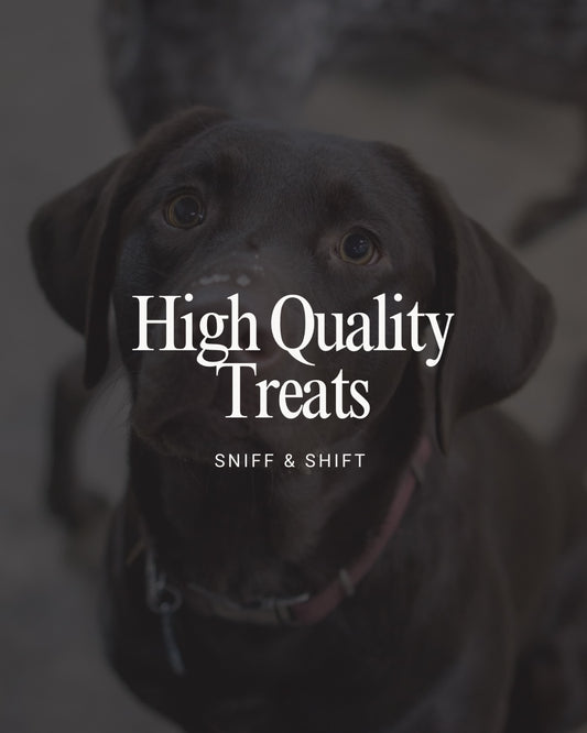 Your dog’s health should always come first, Sniff and Shift on Instagram