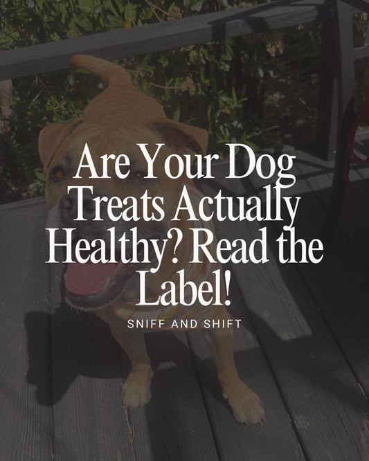 Do you read the label before giving your pup a treat, Sniff and Shift on Instagram