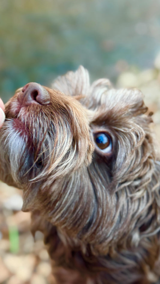 Something exciting is on the way, Sniff and Shift on Instagram