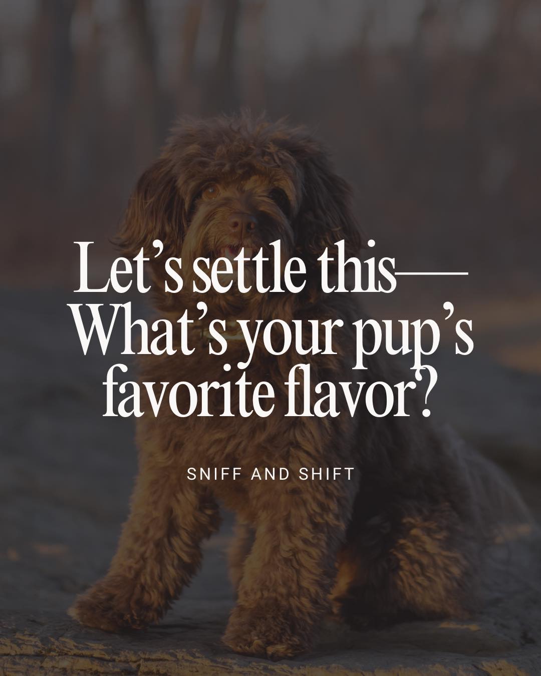 Every pup has a favorite treat flavor,what’s your dog’s go-to snack, Sniff and Shift on Instagram